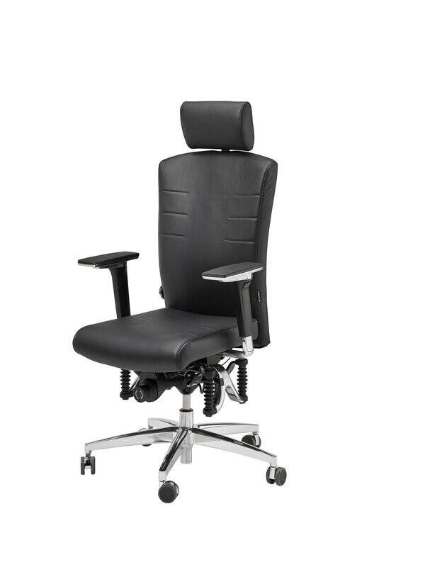 Bioswing 550/560 iQ Echtes Leder Bioswing 550/560 iQ Echtes Leder