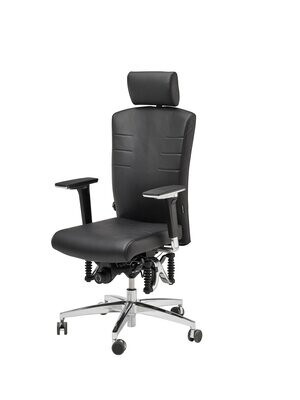 Bioswing 550/560 iQ Vera pelle Bioswing 550/560 iQ Vera pelle