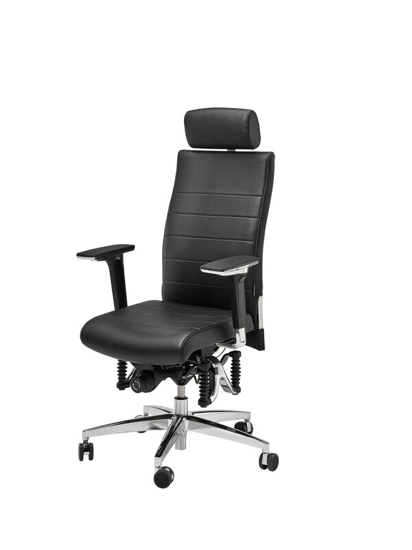 Bioswing 660/670 iQ Echtes Leder Bioswing 660/670 iQ Echtes Leder