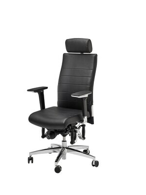 Bioswing 660/670 iQ Echtes Leder Bioswing 660/670 iQ Echtes Leder