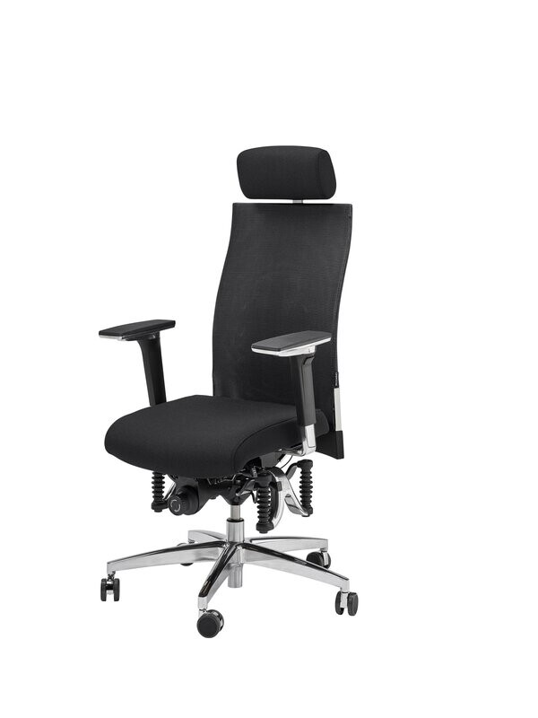 Bioswing 660/670 iQ Netzrücken Echtes Leder Bioswing 660/670 iQ Netzrücken Echtes Leder