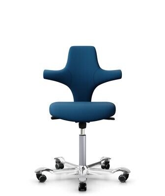 HÅG Capisco Rounded Seat 8120 HÅG Capisco Rounded Seat 8120