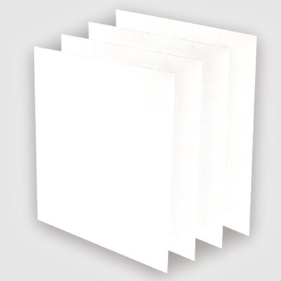 AeraMax Pro AM 3/4 Vorfilter - 4 Stk. AeraMax Pro AM 3/4 Vorfilter - 4 Stk.