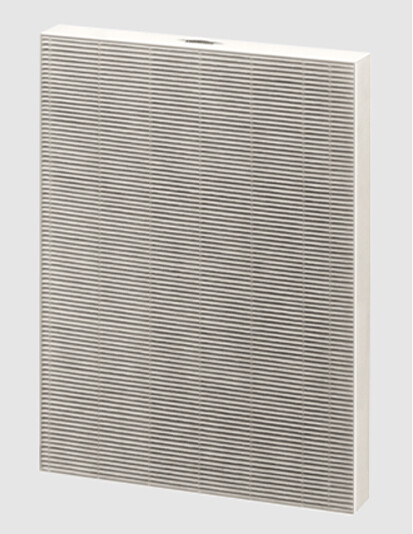 Filtro HEPA vero per purificatore d'aria DX55 Filtro HEPA vero per purificatore d'aria DX55