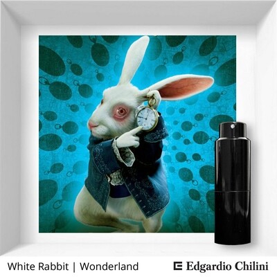Edgardio Chilini White Rabbit
