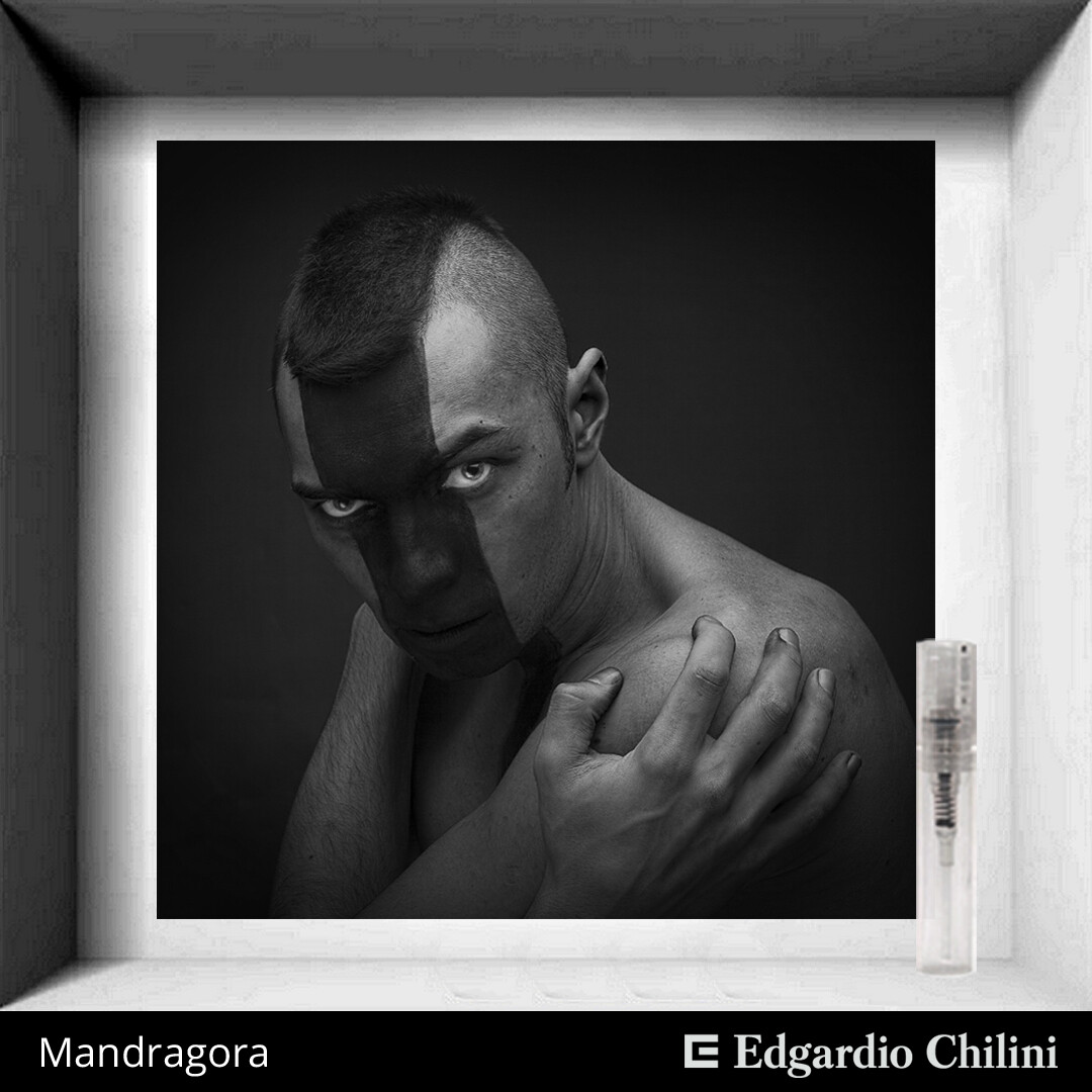 Edgardio Chilini Mandragora sample