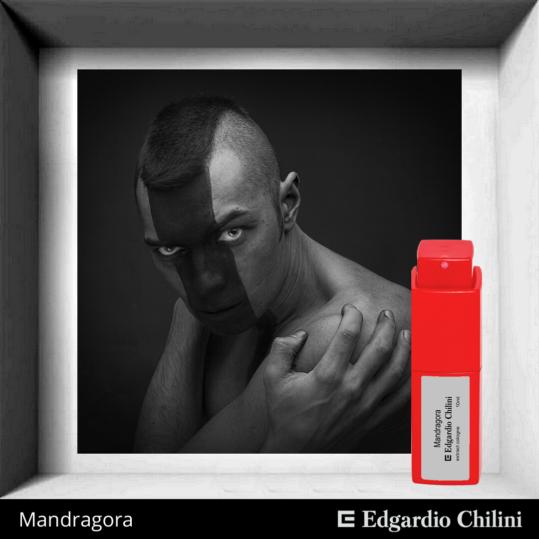 Edgardio Chilini, Mandragora, spicy fragrance