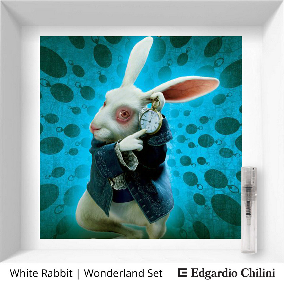 Edgardio Chilini White Rabbit sample