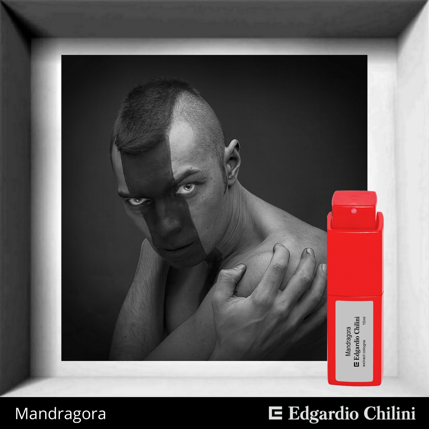 Edgardio Chilini, Mandragora, spicy fragrance