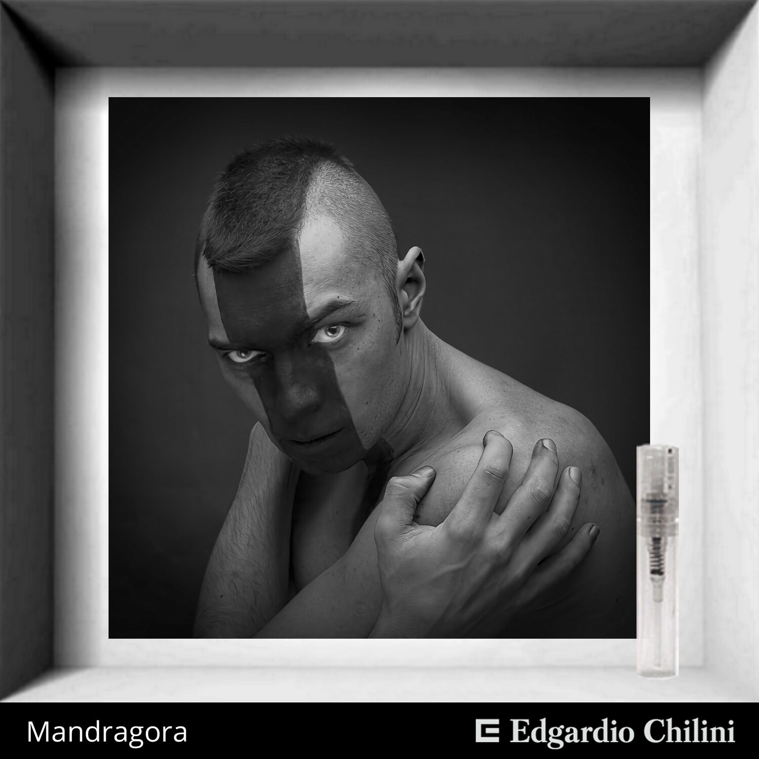 Edgardio Chilini Mandragora sample