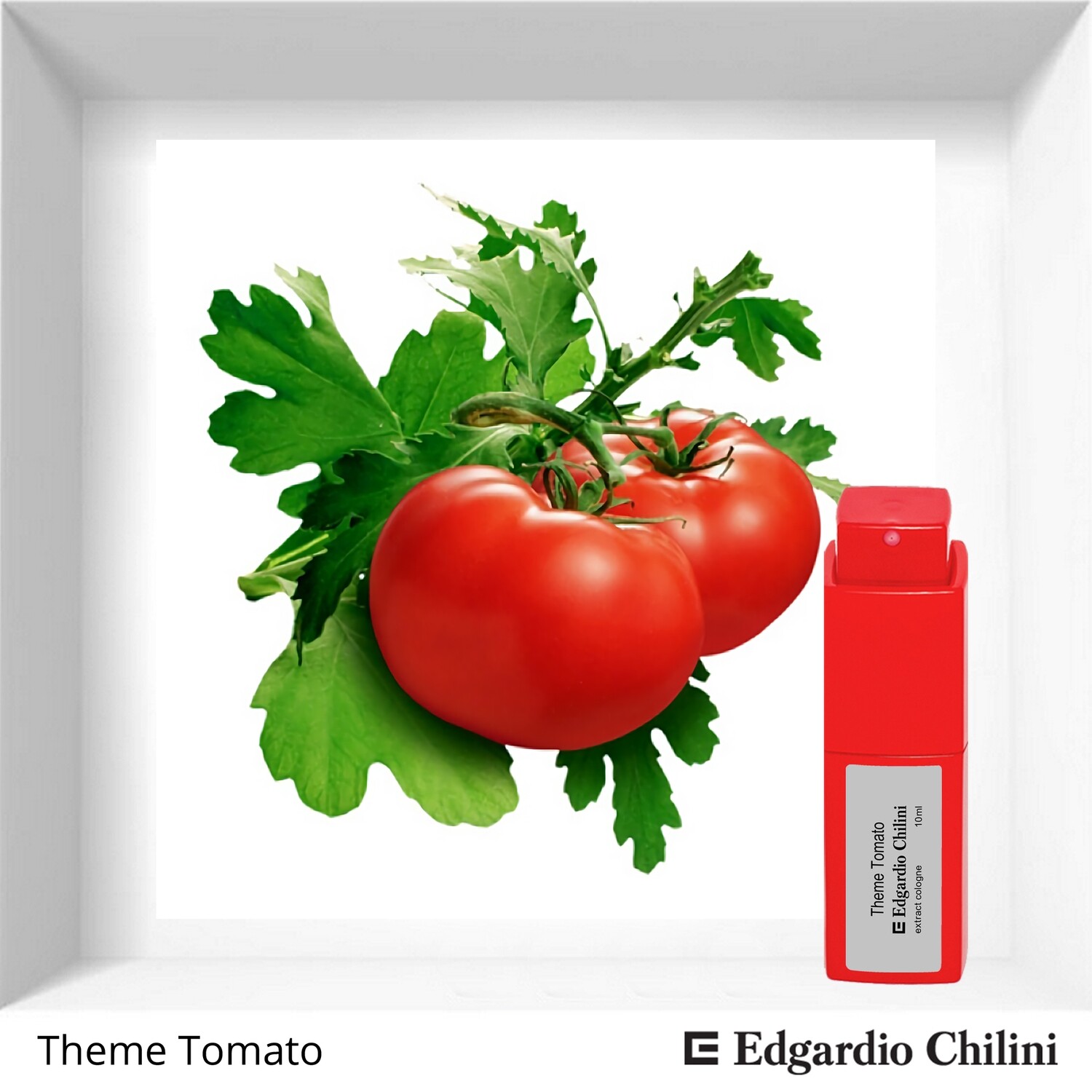 Edgardio Chilini Theme Tomato