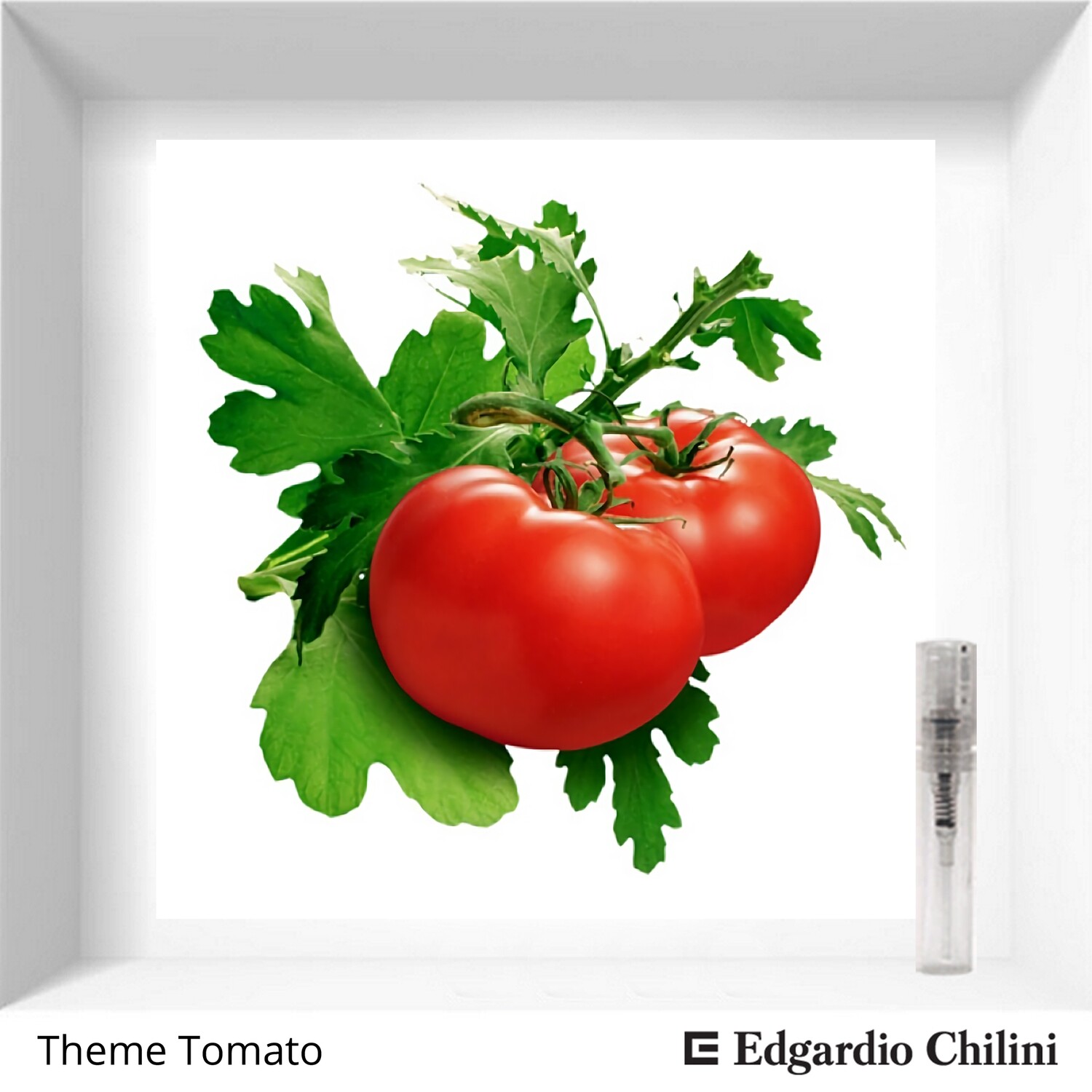 Edgardio Chilini Theme Tomato sample