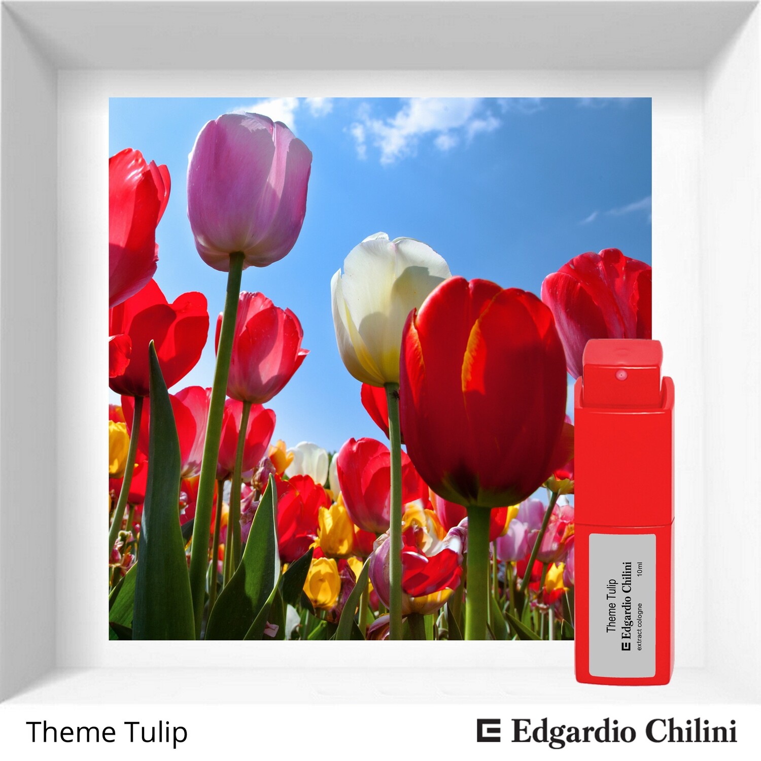 Edgardio Chilini Theme Tulip