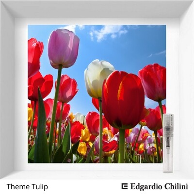 Edgardio Chilini Theme Tulip sample