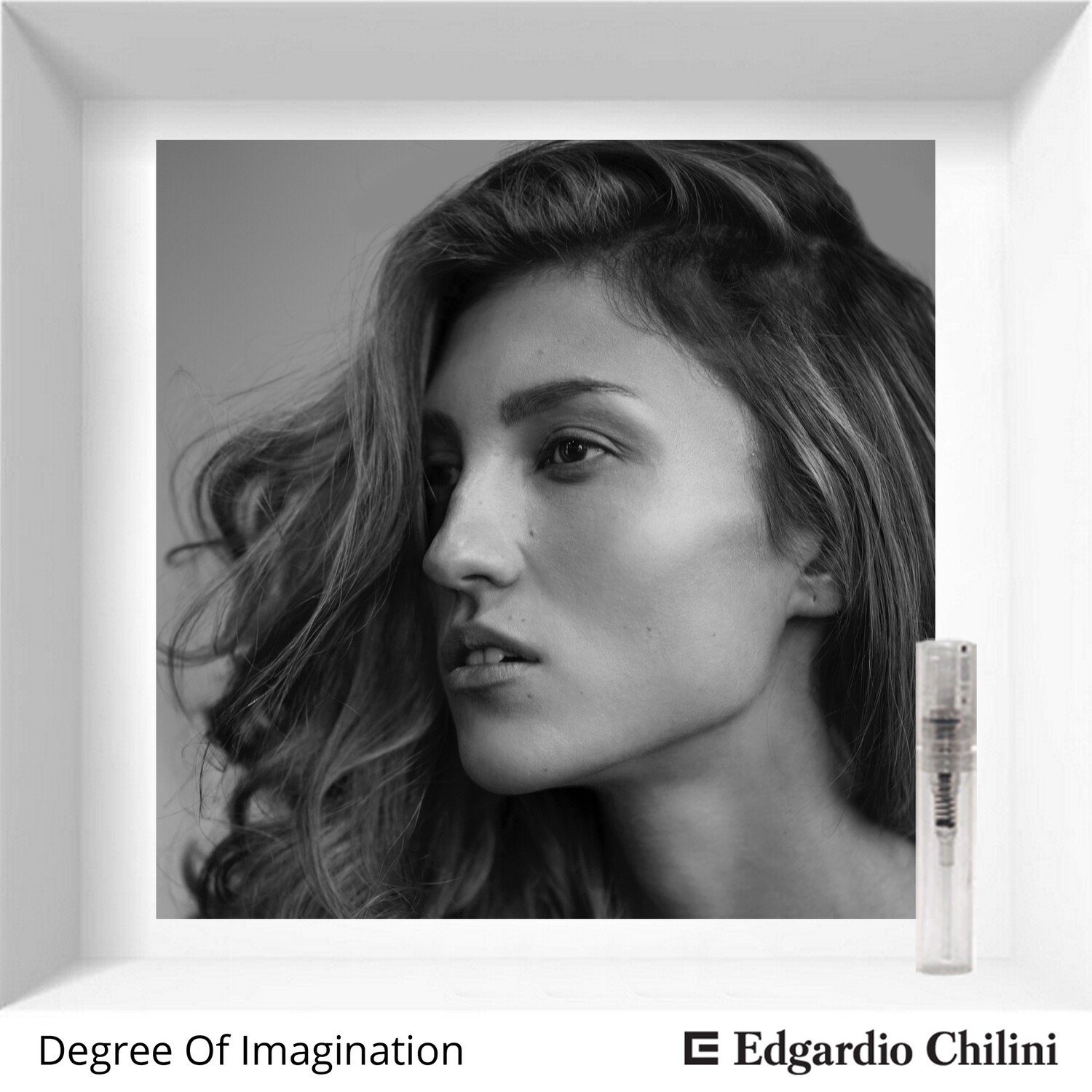 Edgardio Chilini Degree Of Imagination sample