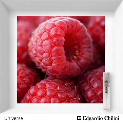 Edgardio Chilini Universe sample