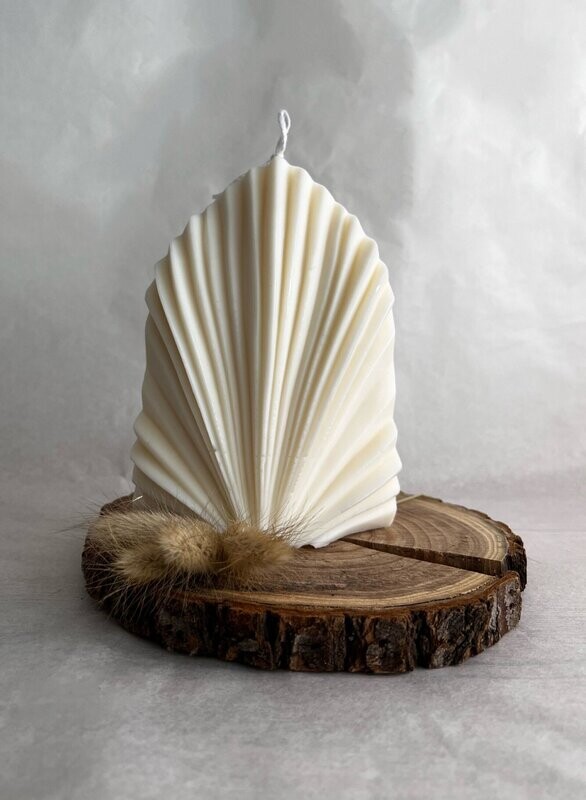Palm Leaf