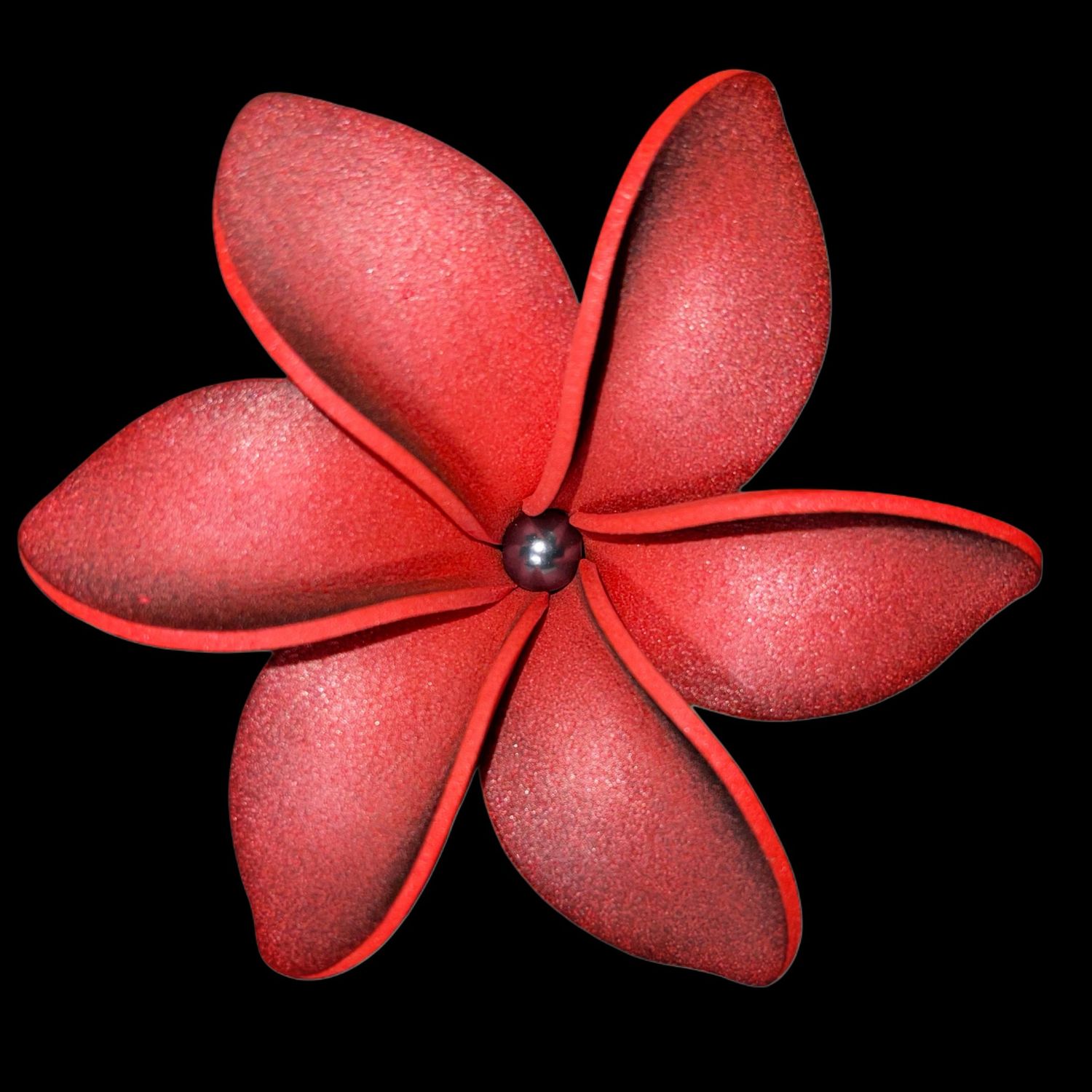 10 fleurs