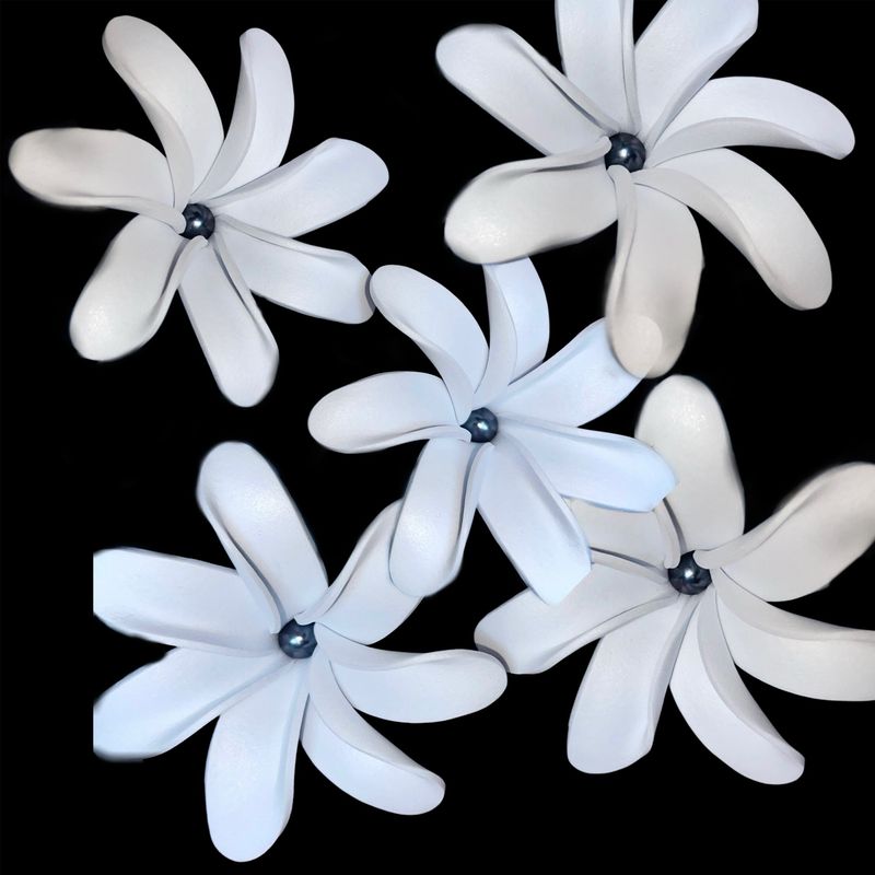 5 fleurs