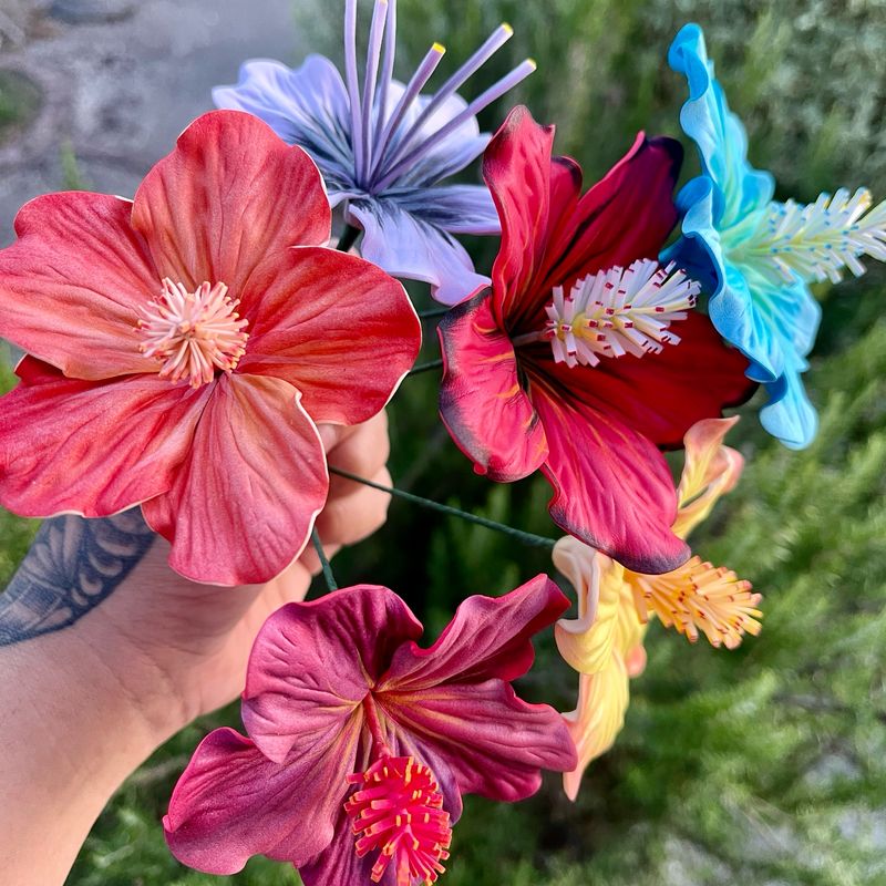 6 Hibiscus ?