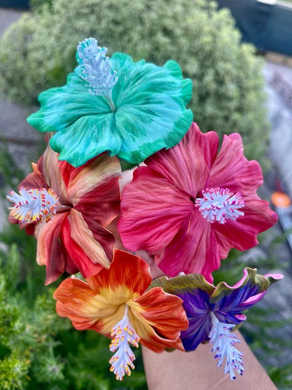 10 hibiscus
