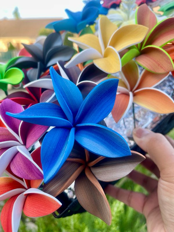 12 fleurs (5 pétales)