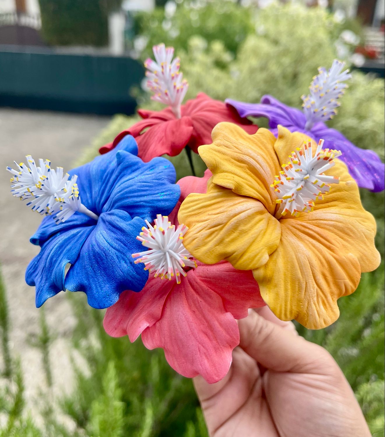 5 hibiscus moyennes
