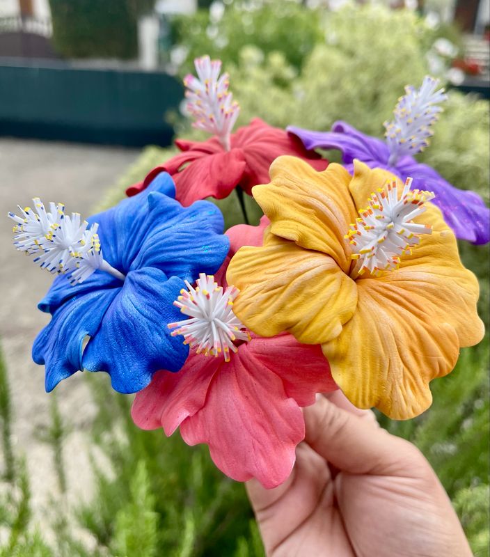 5 hibiscus moyennes