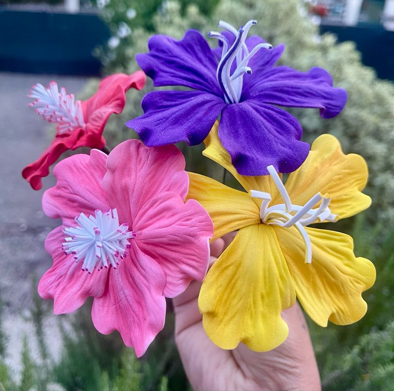4 hibiscus