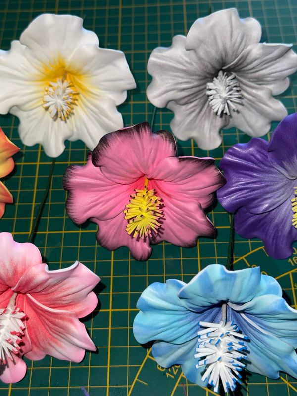 Commande Hibiscus