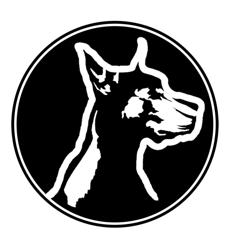 Stray Dog Donations