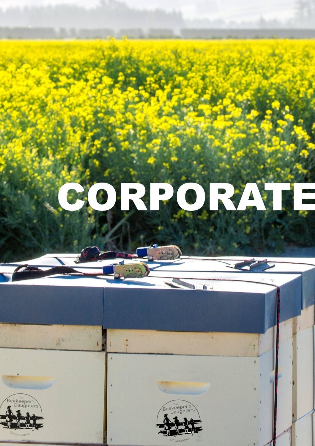 Corporate Beehive Sponsorship - Annually