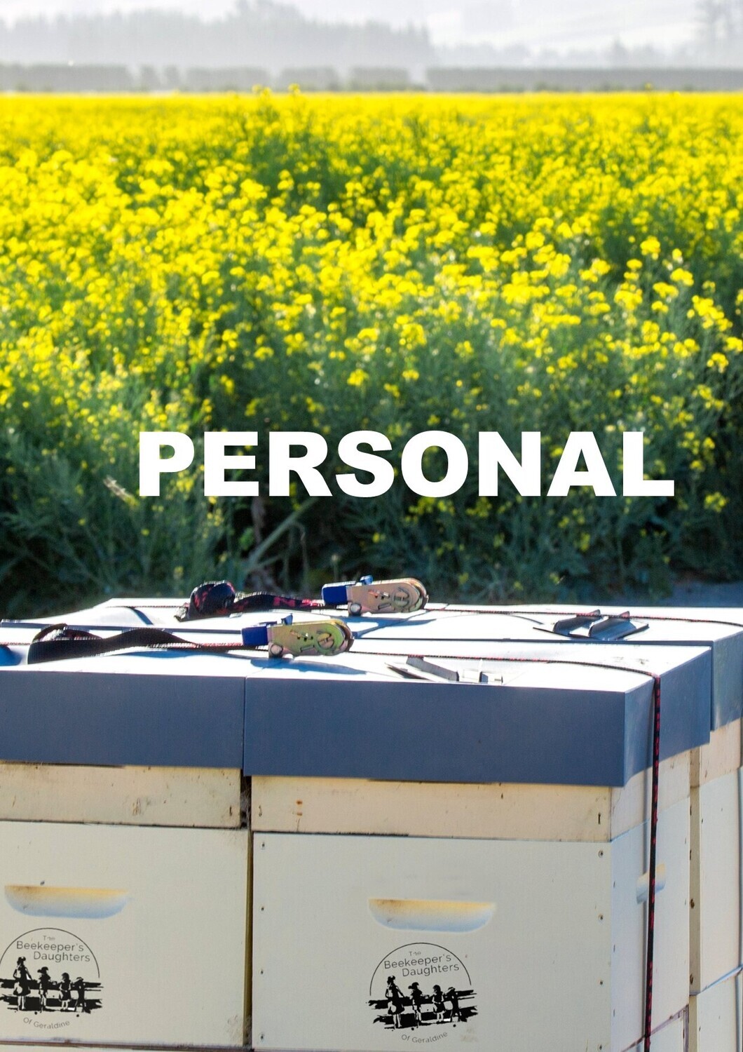Personal Beehive Sponsorship - Monthly