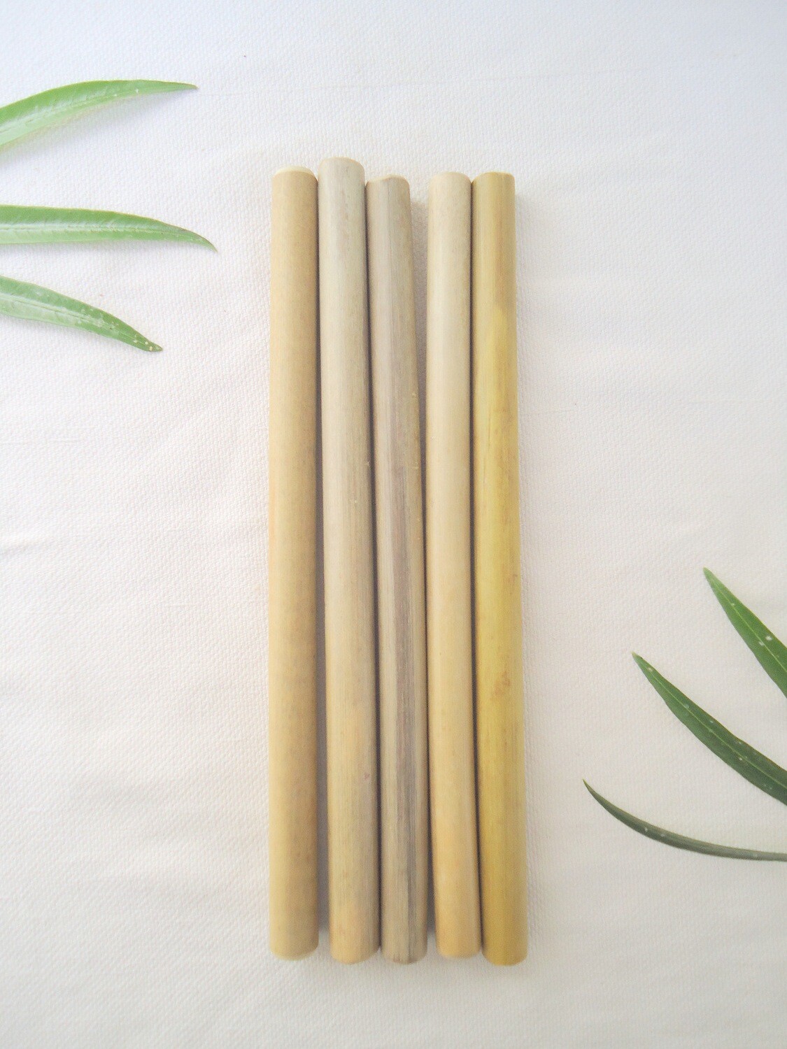 Indian Choices Bamboo straw (set of 2)