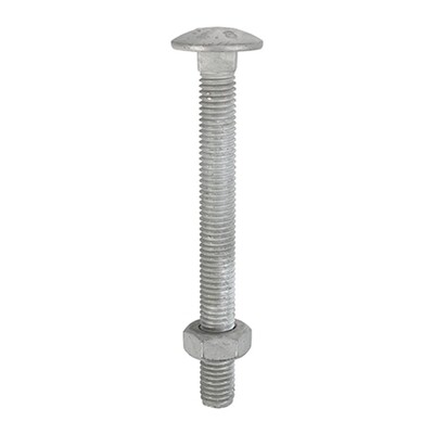 Galvanised Coach Bolts
