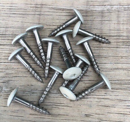 4.8 x 50mm TX20 Dome Hd Screws A2 st.st (White Head RAL 9010) 
 Box of 100