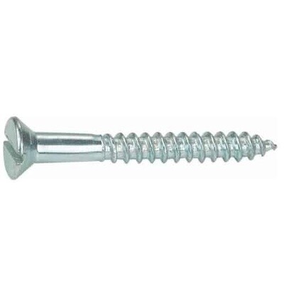 Slotted Countersunk