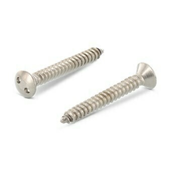 Truss Head/Raised Truss Head Security Screws