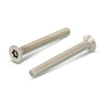Torx Pin Security Screws