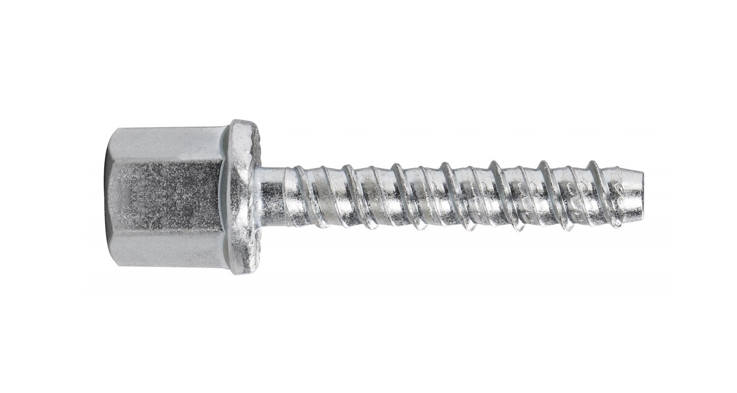 Rawlpug R-LX-I-ZP M10 x 55   Box of 100
