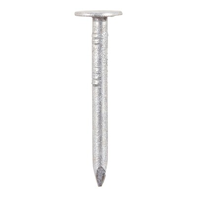 Clout Nails Galvanised