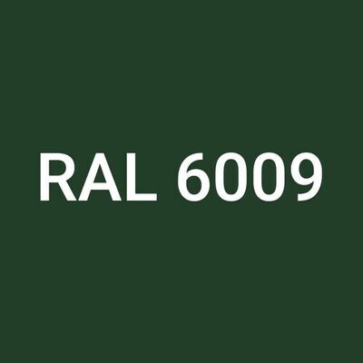 4.8 x 38mm Fir Green Coated RAL 6009 Dome Hd TX20 Screws A2 st.st Box of 100
