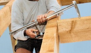 Timber Clamp