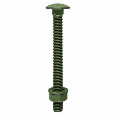 M10 x 100 Coach Bolt Green Coated Pack of 10