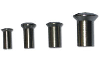 Interscrews