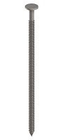 Annular Ringshank Nails