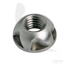 Security Nuts