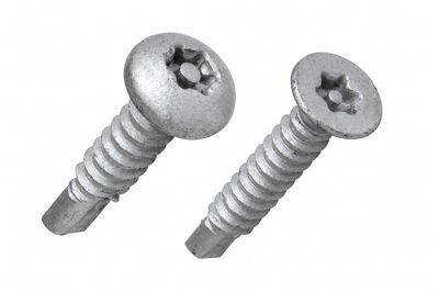 Security Screws