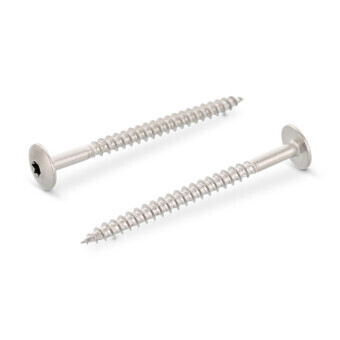 5.5 x 25mm Dome Hd TX20 Screws A4 316 st.st Box of 100