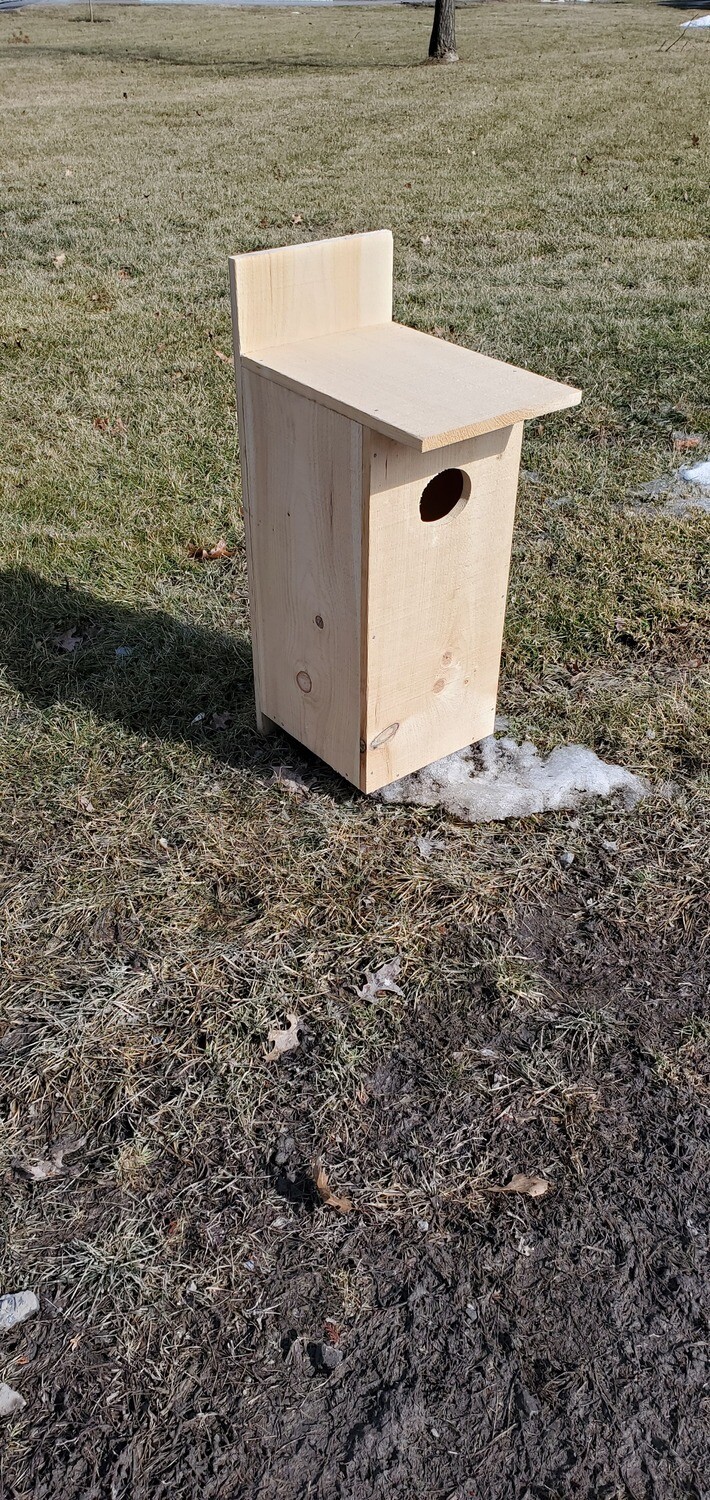 Wood Duck Nesting Box